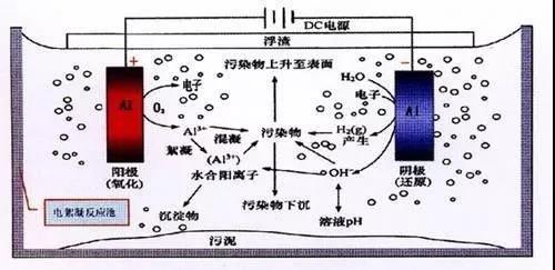 我買(mǎi)了一個(gè)甲醛檢測(cè)儀，吹口氣后發(fā)現(xiàn)原來(lái)我才是“地表最強(qiáng)”污染源！