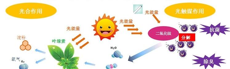 甲醛治理用什么辦法最正確？這三點常見的除甲醛辦法其實是誤區(qū)