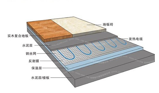 冬季，它們成了甲醛的幫兇