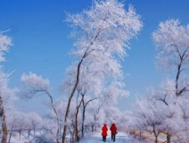 如何解決冬季室內(nèi)和車(chē)內(nèi)環(huán)境污染問(wèn)題的問(wèn)題呢？