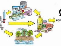 食品中有塑化劑嗎？這些食品中含有大量塑化劑，食用時(shí)一定要注意！