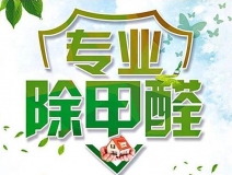 除甲醛公司的專業(yè)性表現(xiàn)在哪些方面？