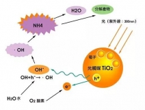 現(xiàn)在光觸媒的價格是多少？