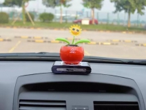 新車除醛，車內(nèi)除甲醛什么辦法最好？