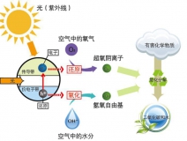 冷觸媒，暗觸媒，風(fēng)觸媒是怎樣的甲醛治理方式？