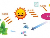 光觸媒去除房間甲醛爭(zhēng)議很大？