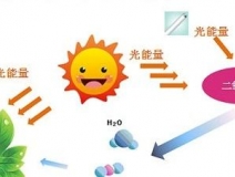 甲醛治理用什么辦法最正確？這三點常見的除甲醛辦法其實是誤區(qū)