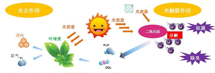 光觸媒去除房間甲醛爭議很大？